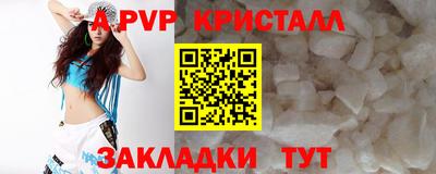 стафф Анжеро-Судженск